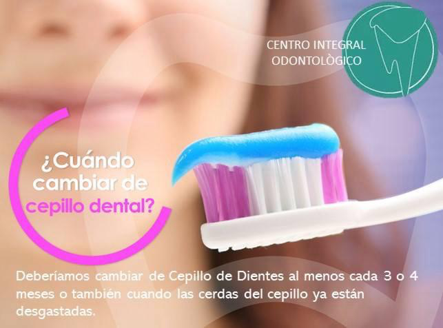Información sobre cepillo dental
